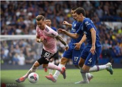 ������:���ѷ�ػ����ӽ�Ŀ���ֿ�����ɭ��������� 